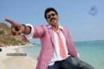 Colourful stills - Venkatesh,Trisha - Namo Venkatesa - 15 of 59