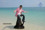Colourful stills - Venkatesh,Trisha - Namo Venkatesa - 19 of 59