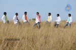 Colourful stills - Venkatesh,Trisha - Namo Venkatesa - 22 of 59