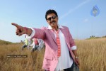 Colourful stills - Venkatesh,Trisha - Namo Venkatesa - 25 of 59