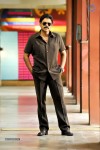 Venky Bodyguard Movie Stills - 4 of 5