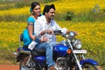 Venmegam Tamil Movie Stills - 34 of 38