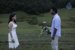 Vetadu Ventadu Movie Hot Stills - 75 of 142