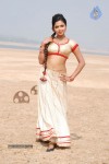 Vettai Tamil Movie Hot Stills - 2 of 39