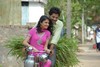Vidheyudu Movie Stills - 23 of 39