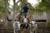 Vidheyudu Movie Stills - 36 of 39