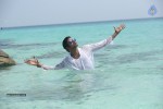 Vinodam 100 Percent Movie Photos - 6 of 14