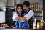 Virodhi Movie Stills - 21 of 79