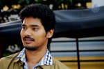 Vundile Manchi Kalam Mundu Munduna Stills - 10 of 11