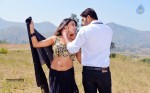 Where is Vidya Balan Movie Photos - 28 of 34