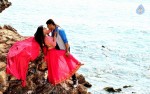 Where is Vidyabalan Movie Gallery - 90 of 109