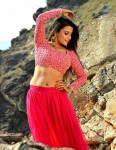 Where is Vidyabalan Movie Gallery - 97 of 109