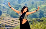 Where is Vidyabalan Movie Gallery - 98 of 109