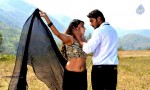Where is Vidyabalan Movie Gallery - 103 of 109