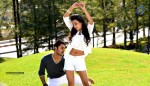 Where is Vidyabalan Movie Gallery - 28 of 109