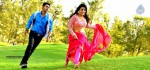 Where is Vidyabalan Movie Gallery - 31 of 109