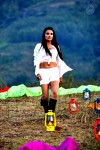 Where is Vidyabalan Movie Gallery - 38 of 109