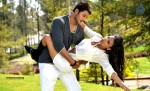 Where is Vidyabalan Movie Gallery - 101 of 109