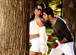 Where is Vidyabalan Movie Gallery - 105 of 109