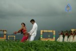Yama Kantri Movie New Stills - 11 of 99