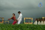 Yama Kantri Movie New Stills - 95 of 99
