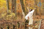 Yemaaya Chesave Movie Stills Gallery 2 - 38 of 25