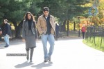 Yemaaya Chesave Movie Stills Gallery 2 - 40 of 25