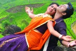 Yetu Choosina Nuvve New Stills - 8 of 28