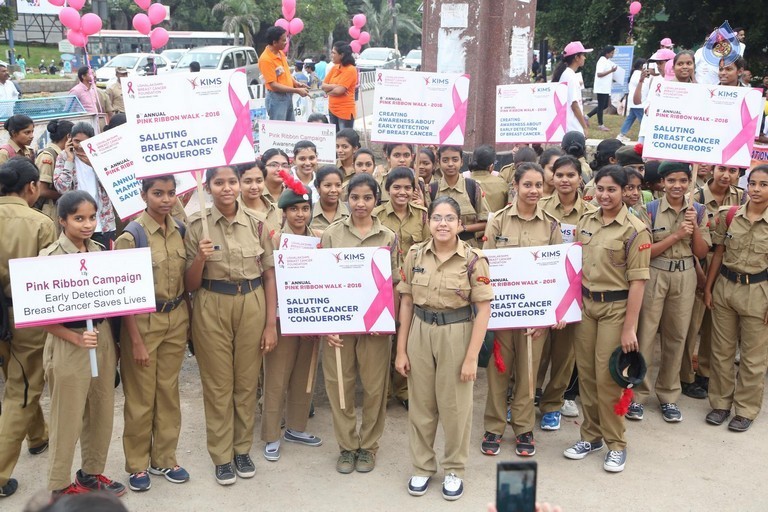 8th Annual Pink Ribbon Walk - 64 / 88 photos