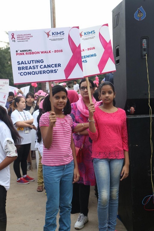 8th Annual Pink Ribbon Walk - 68 / 88 photos