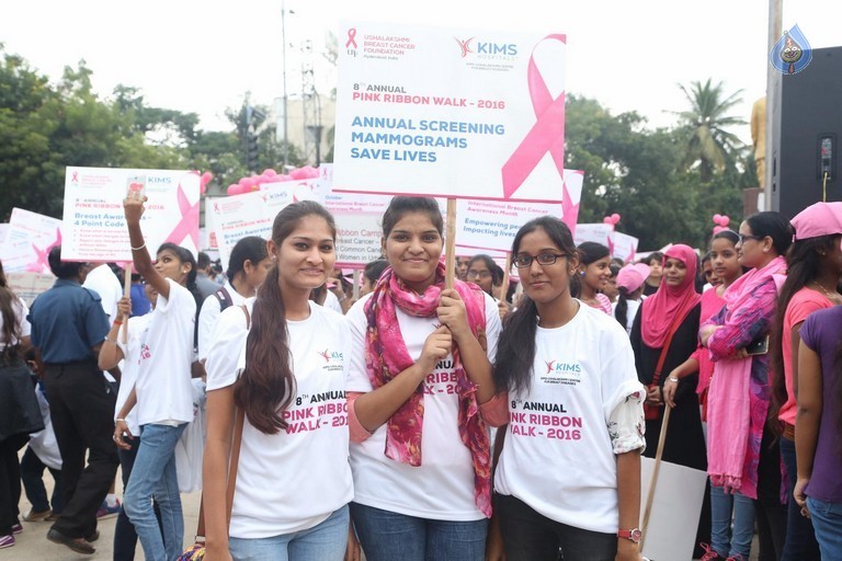 8th Annual Pink Ribbon Walk - 76 / 88 photos