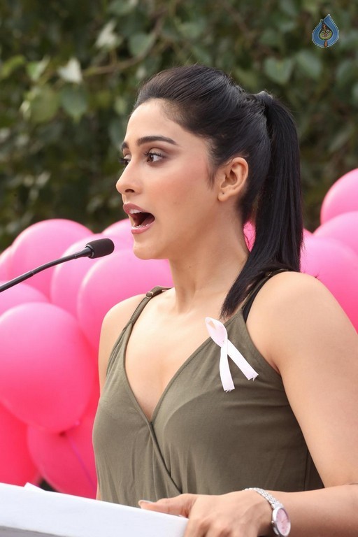 8th Annual Pink Ribbon Walk - 84 / 88 photos