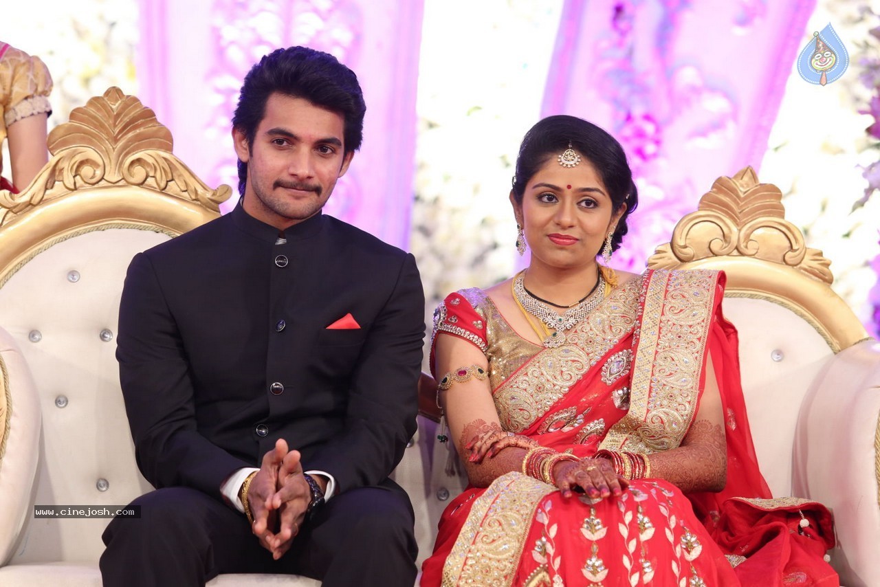 Aadi and Aruna Wedding Reception 01 - 7 / 119 photos