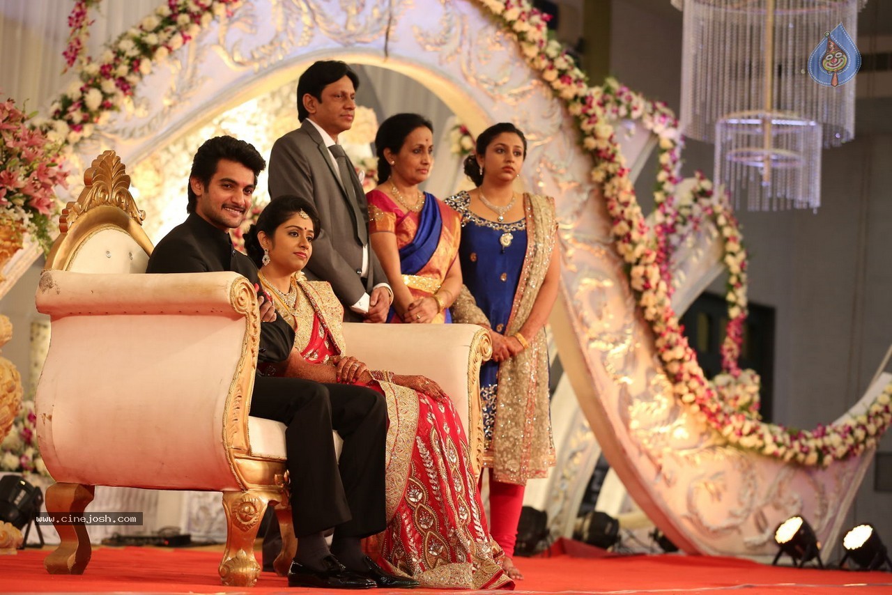 Aadi and Aruna Wedding Reception 01 - 12 / 119 photos