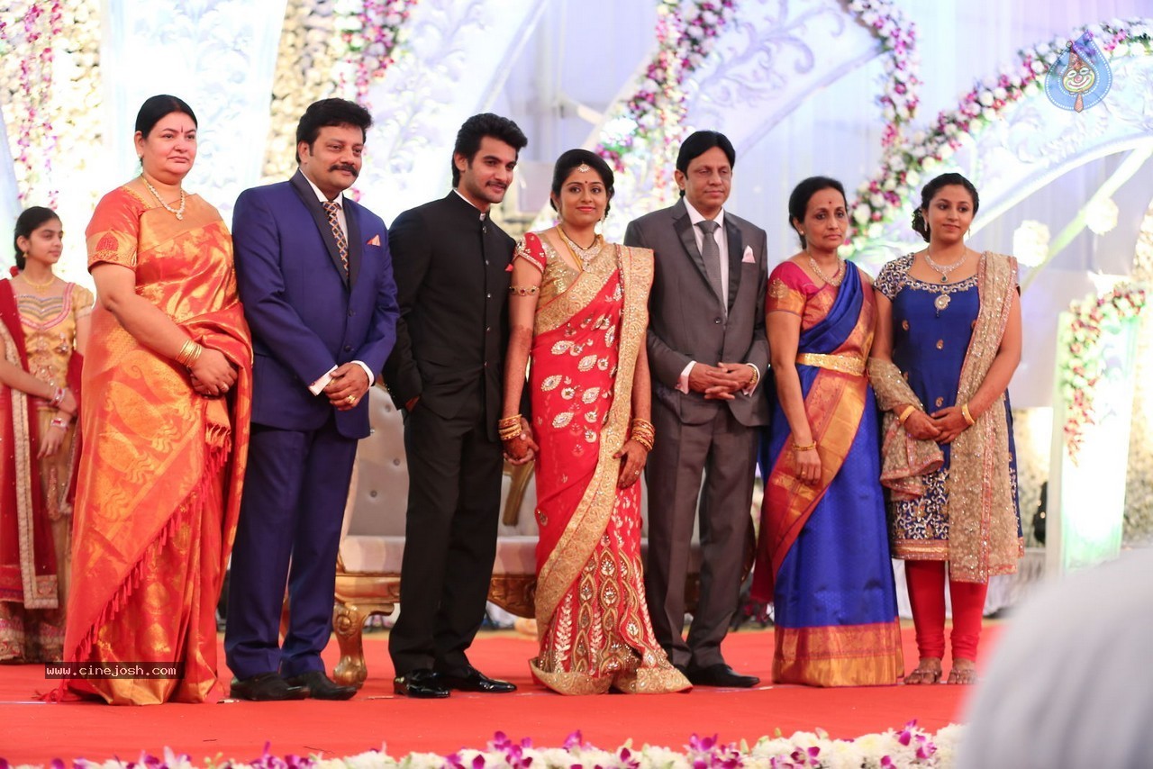 Aadi and Aruna Wedding Reception 01 - 13 / 119 photos