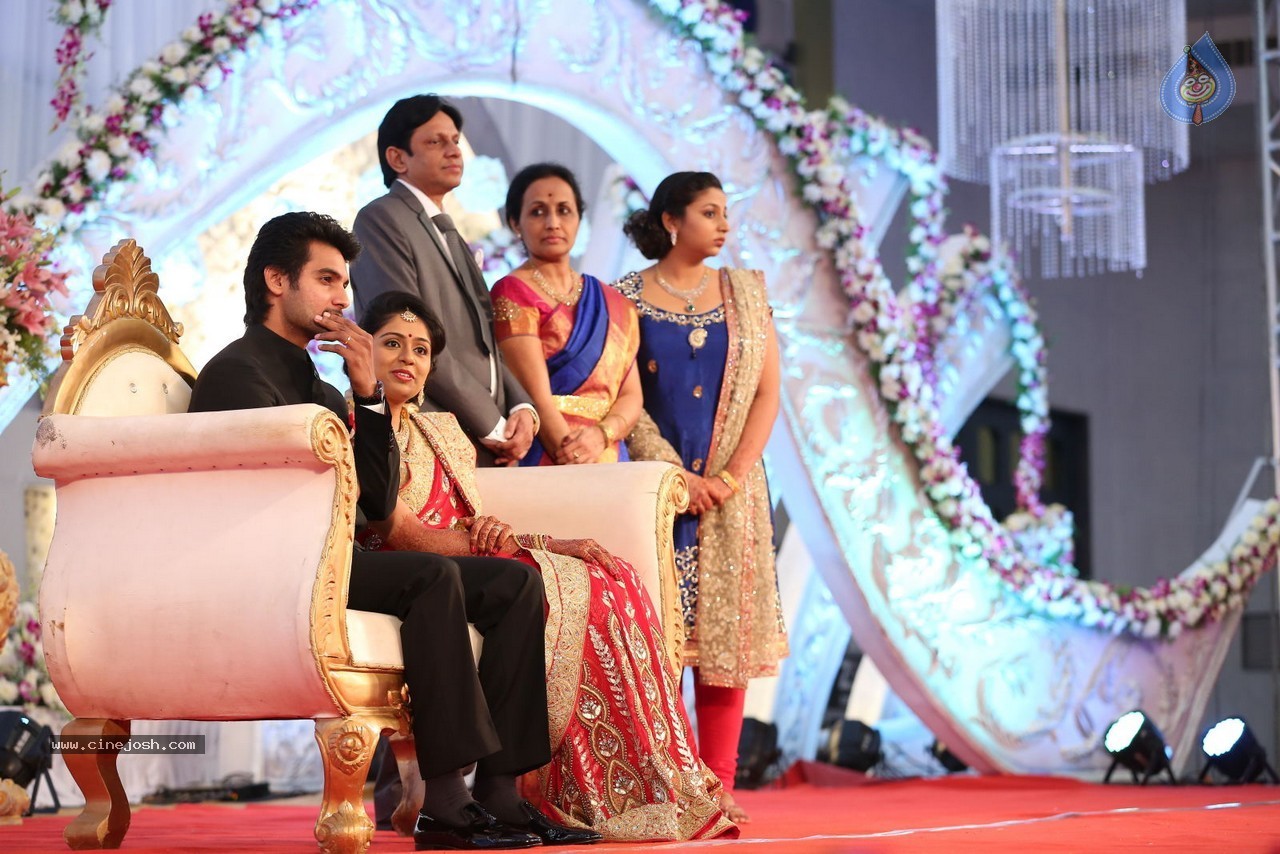Aadi and Aruna Wedding Reception 01 - 16 / 119 photos