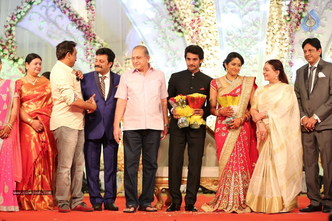 Aadi and Aruna Wedding Reception 01 - 20 / 119 photos