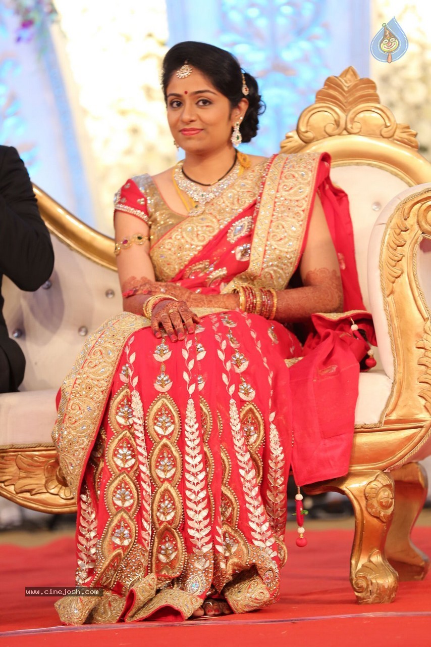 Aadi and Aruna Wedding Reception 01 - 24 / 119 photos