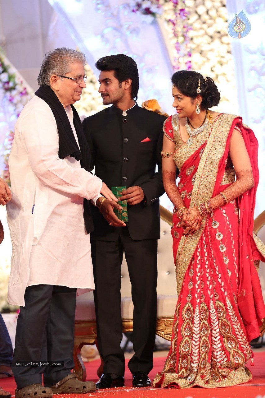 Aadi and Aruna Wedding Reception 01 - 26 / 119 photos