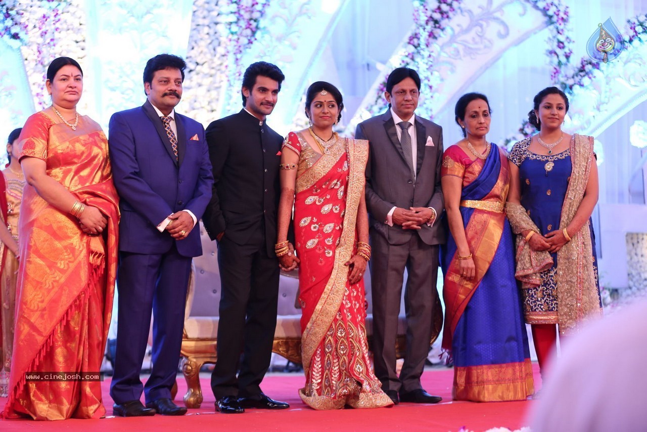 Aadi and Aruna Wedding Reception 01 - 36 / 119 photos