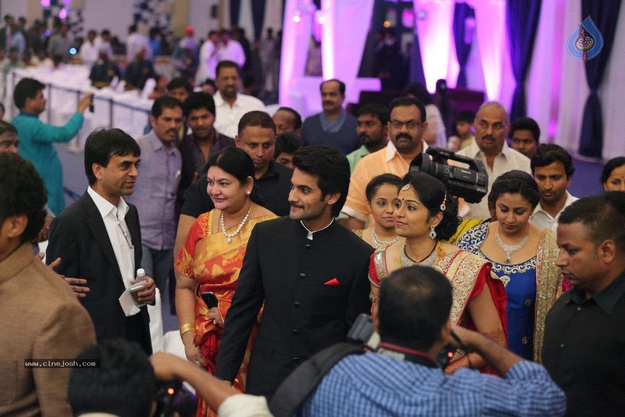 Aadi and Aruna Wedding Reception 01 - 39 / 119 photos