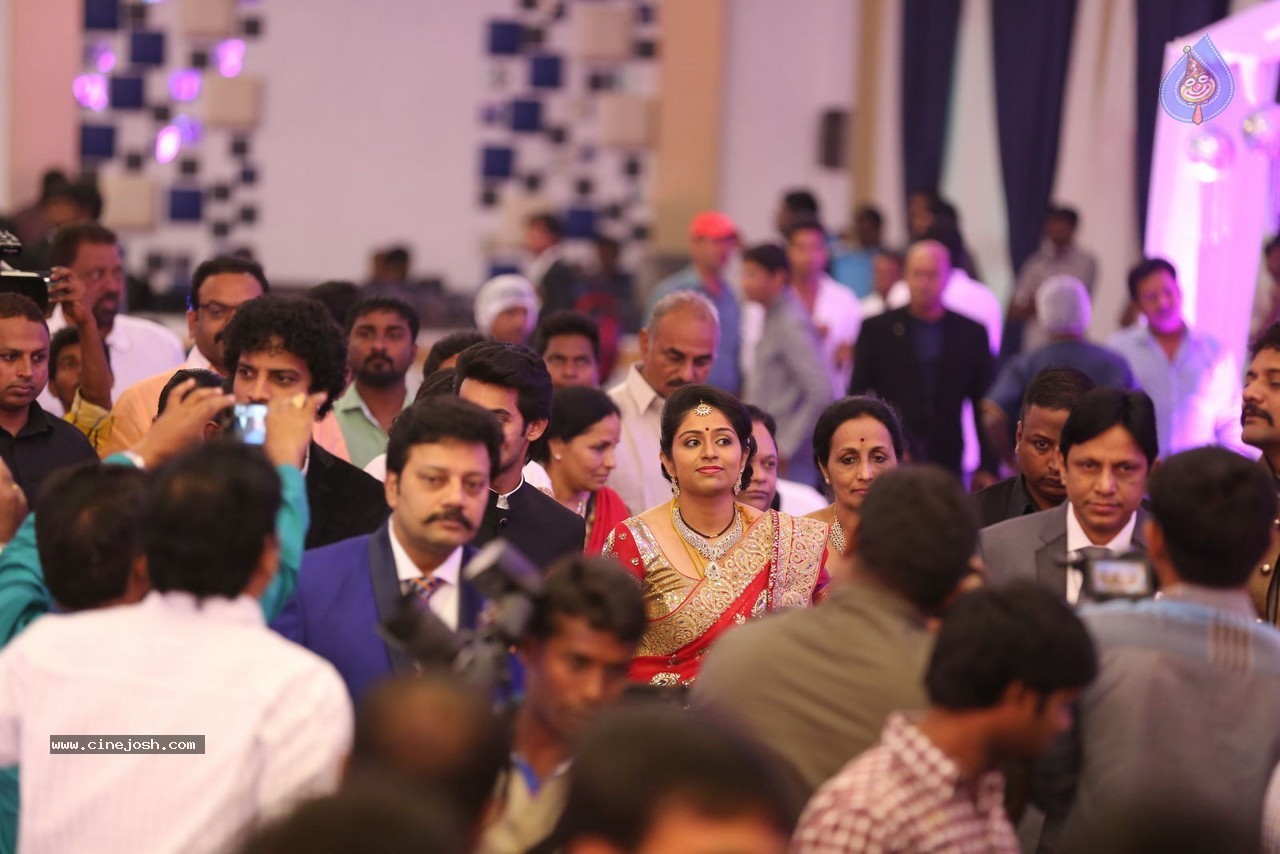 Aadi and Aruna Wedding Reception 01 - 40 / 119 photos