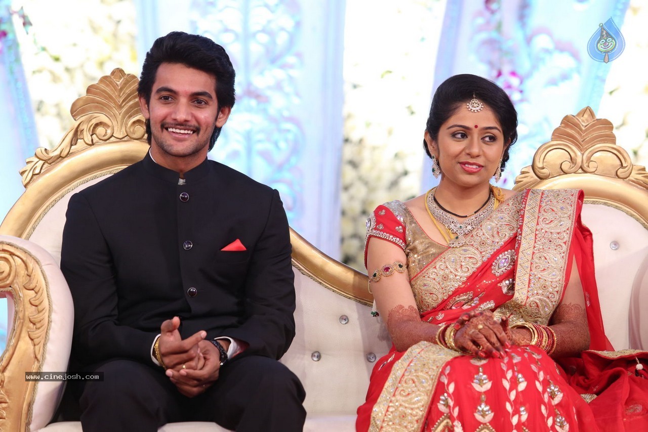 Aadi and Aruna Wedding Reception 01 - 45 / 119 photos