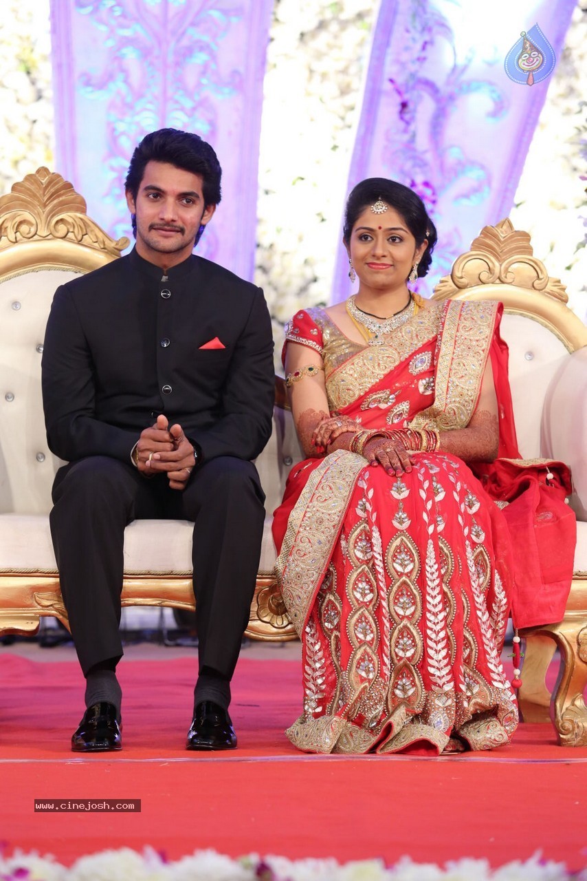 Aadi and Aruna Wedding Reception 01 - 46 / 119 photos