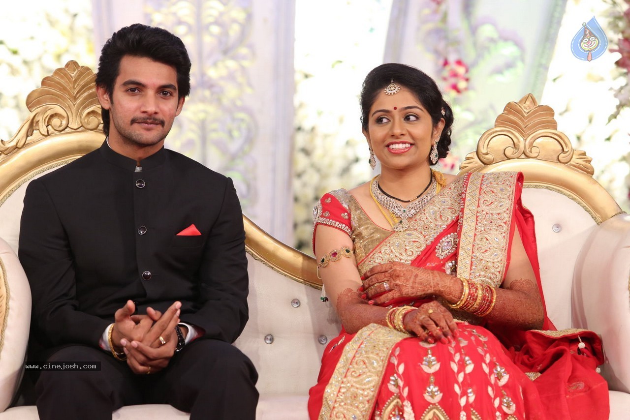 Aadi and Aruna Wedding Reception 01 - 53 / 119 photos