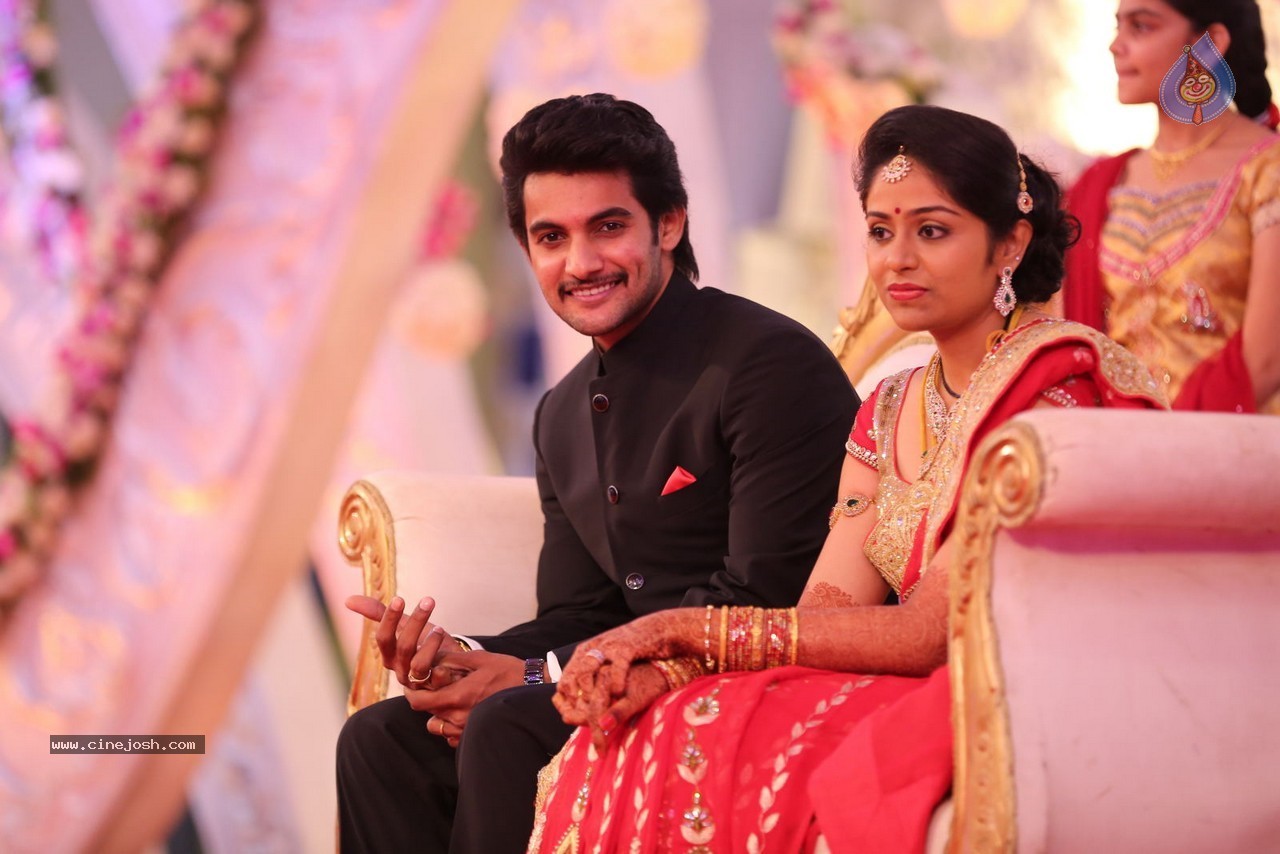 Aadi and Aruna Wedding Reception 01 - 56 / 119 photos