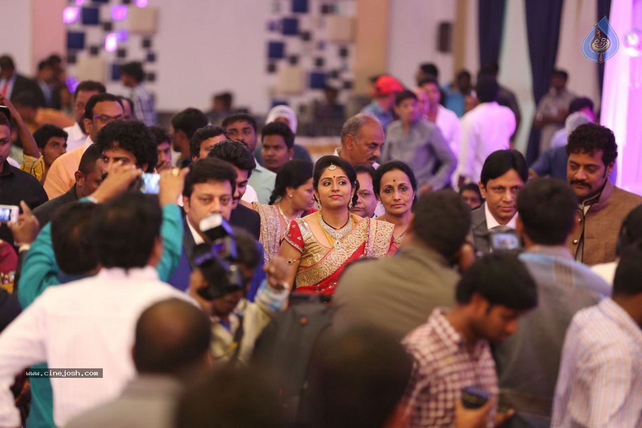 Aadi and Aruna Wedding Reception 01 - 57 / 119 photos