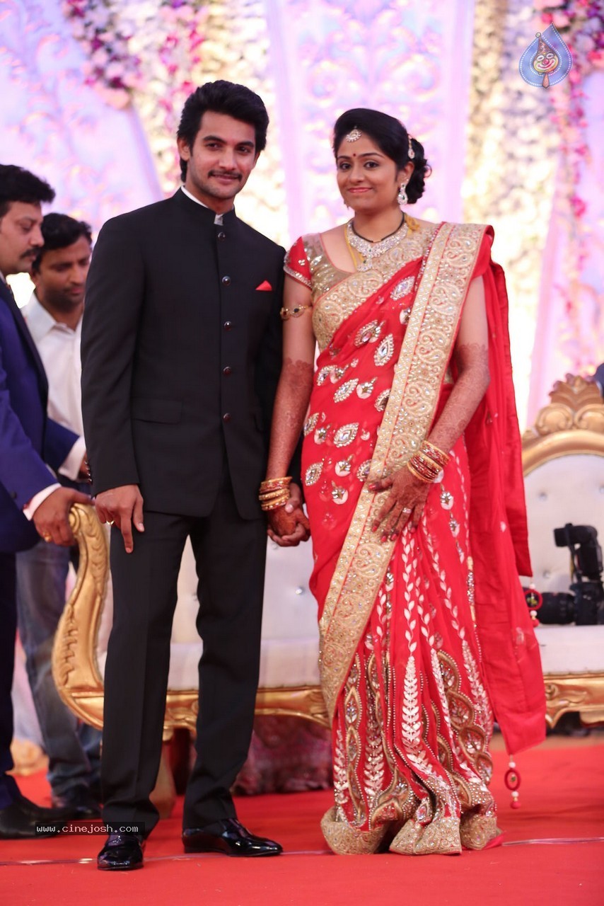 Aadi and Aruna Wedding Reception 01 - 62 / 119 photos