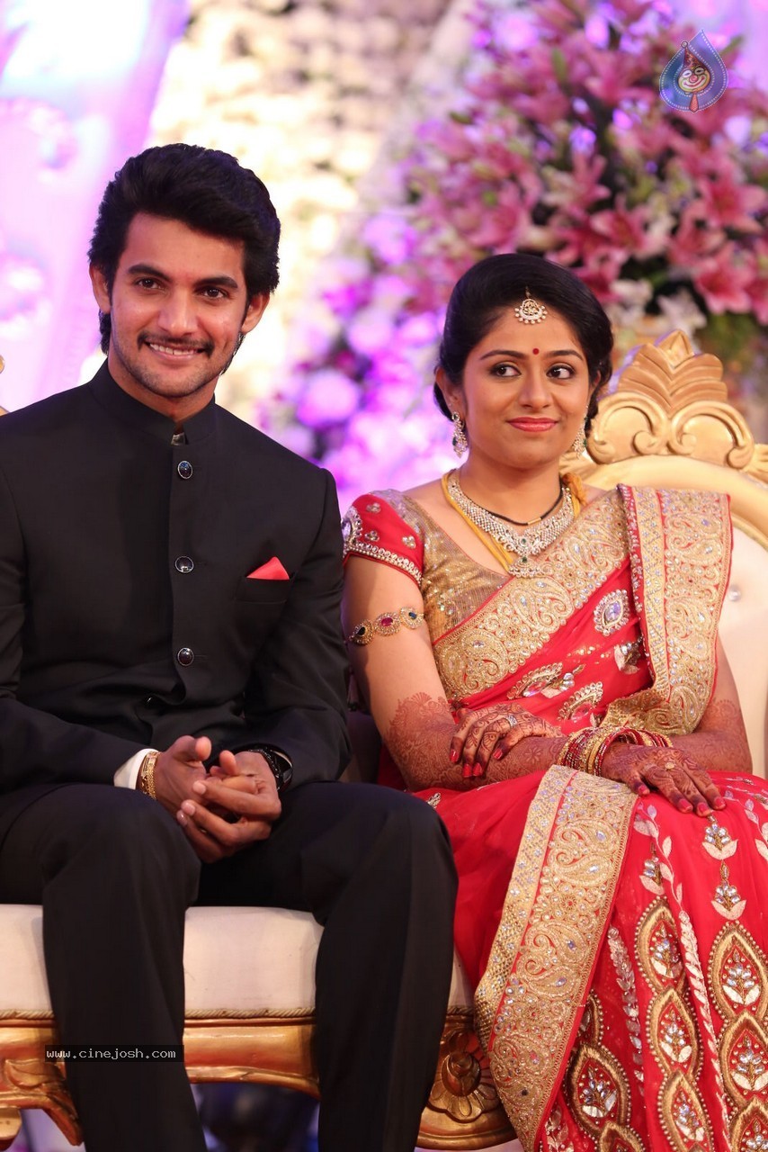 Aadi and Aruna Wedding Reception 01 - 66 / 119 photos