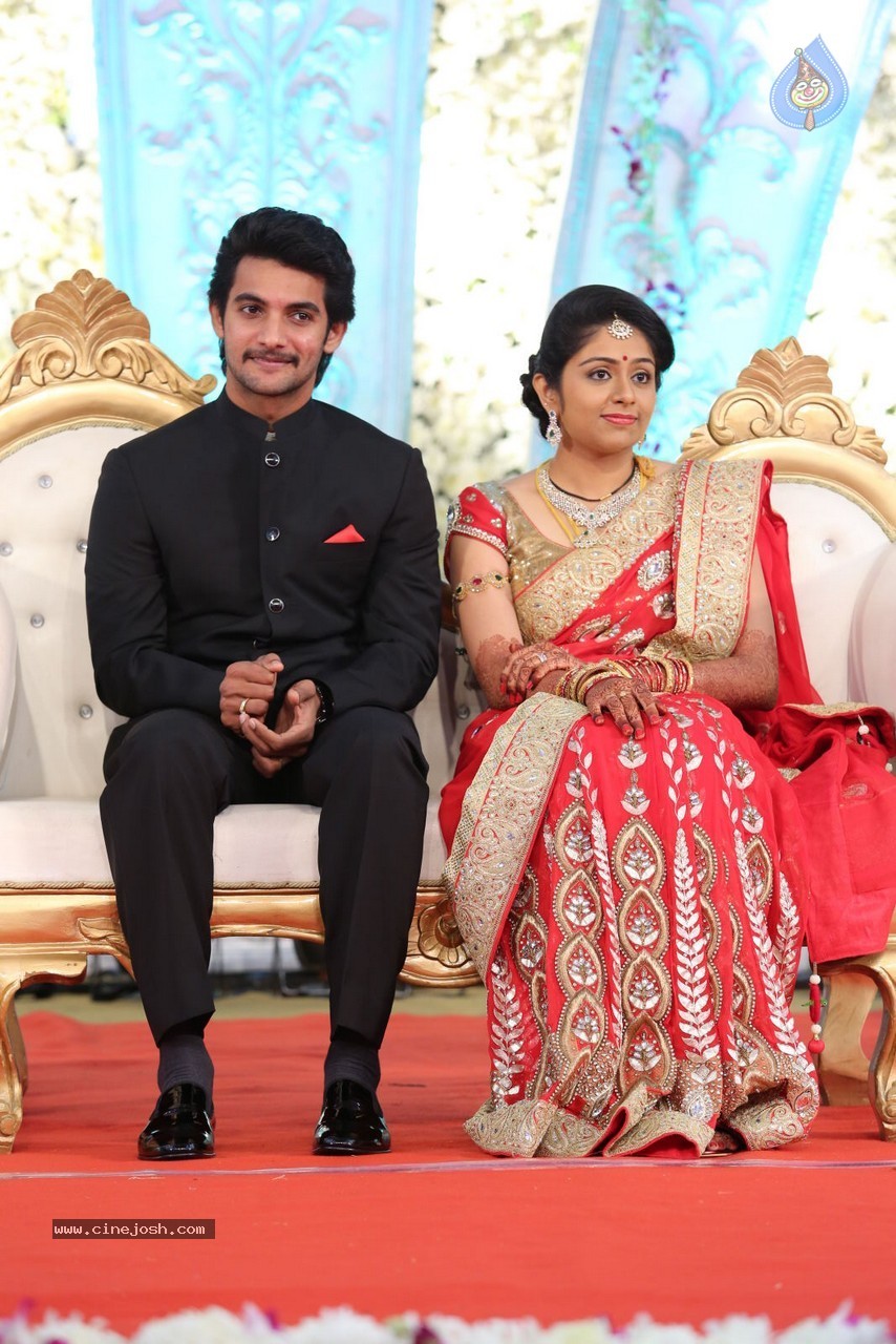 Aadi and Aruna Wedding Reception 01 - 72 / 119 photos